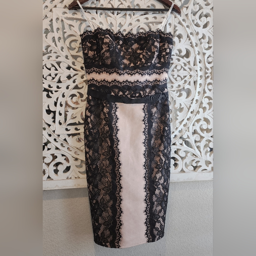 TADASHI SHOJI SHEATH LACE STRAPLE DRESS BLACK & NUDE TONE SIZE 2 - Picture 3 of 13